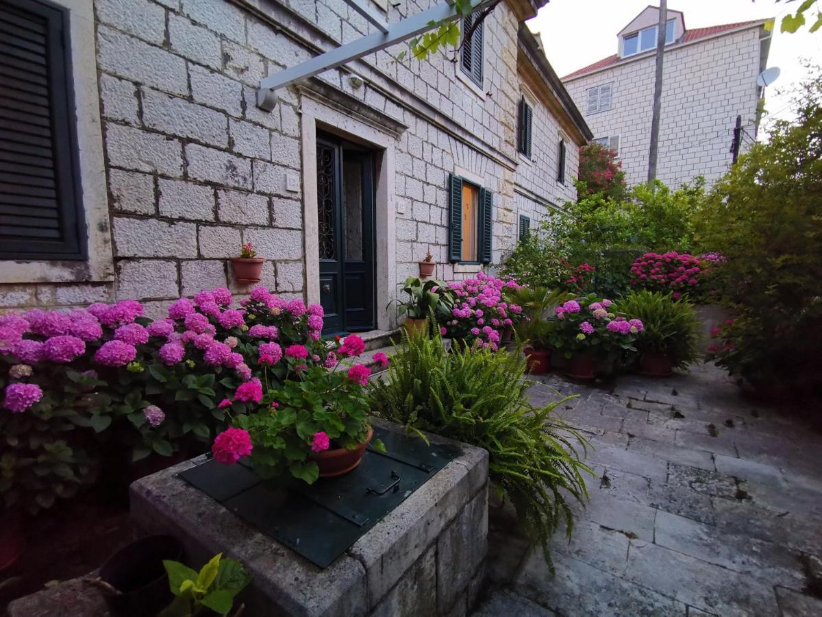 Apartments Sensa Dubrovnik Dış mekan fotoğraf