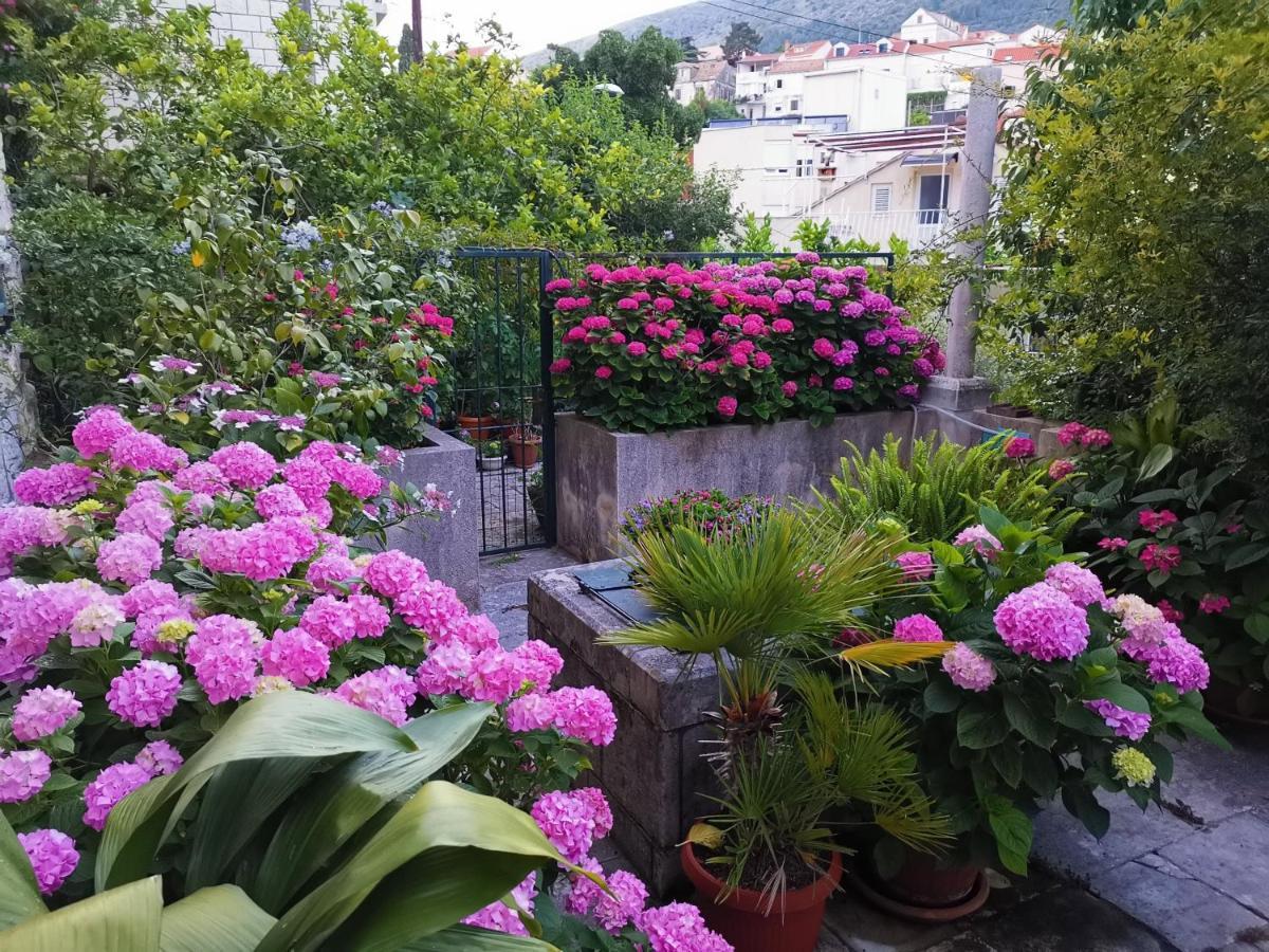 Apartments Sensa Dubrovnik Dış mekan fotoğraf