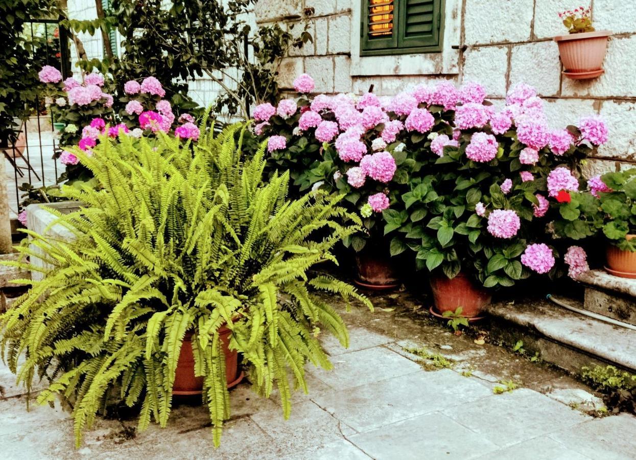 Apartments Sensa Dubrovnik Dış mekan fotoğraf